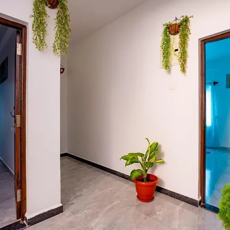 Goan Fiesta Studio Calangute Goaa-3